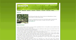 Desktop Screenshot of bragfor.com