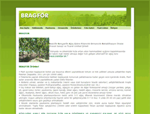 Tablet Screenshot of bragfor.com